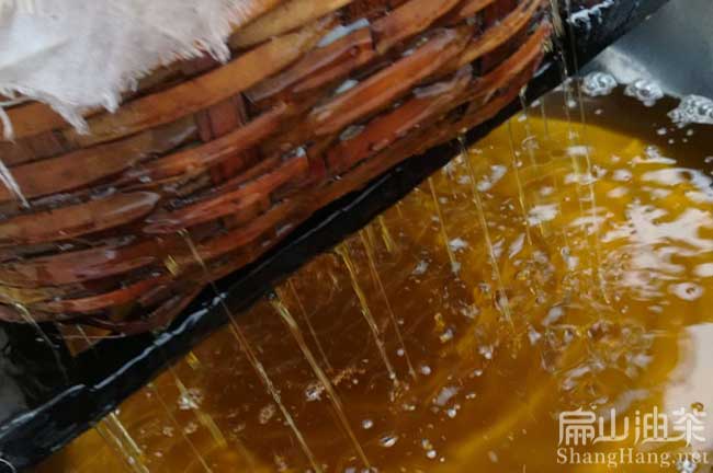恭城茶油批發