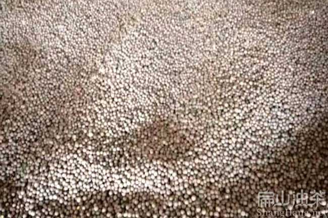 北海茶（chá）籽回（huí）收