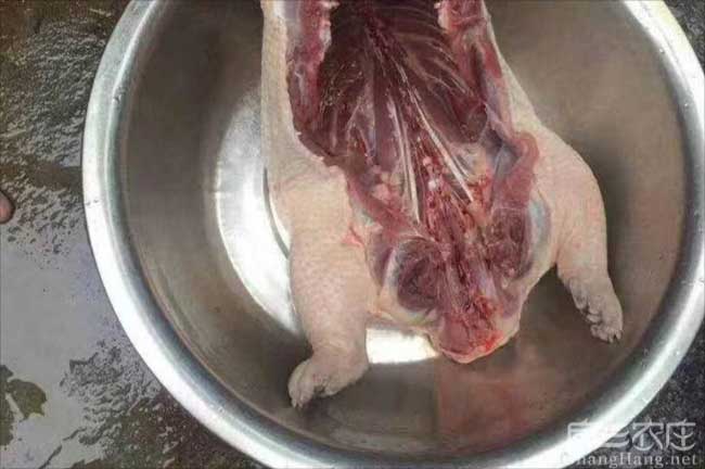 東莞肉兔肉批（pī）發