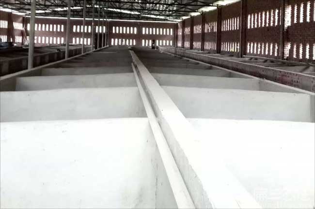 福建肉兔養殖（zhí）基地