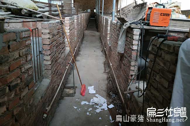 南平（píng）商品肉兔肉批發