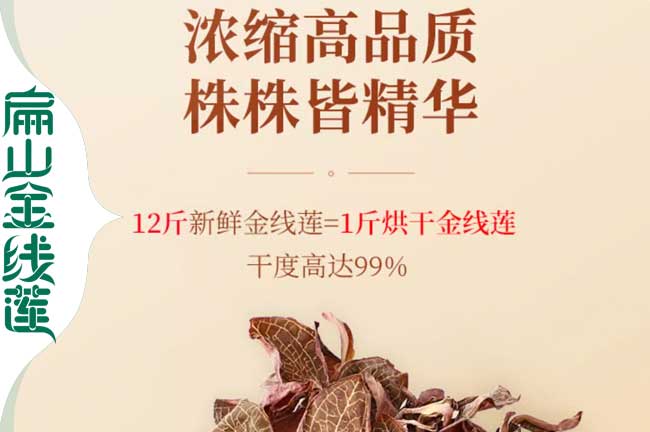 懷化金線（xiàn）蓮幹貨