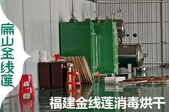 新沂福（fú）建金線蓮生產一（yī）角