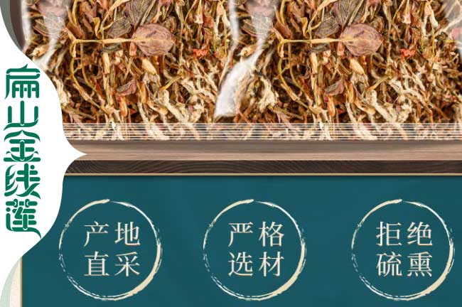 東海縣金線蓮種（zhǒng）植