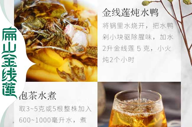 賣漢中的金線蓮種（zhǒng）苗 漢中金線蓮幹貨及種植基地1元/珠批發（fā）