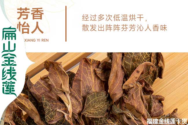 金線蓮盆(pén)栽 金線蓮盆栽
