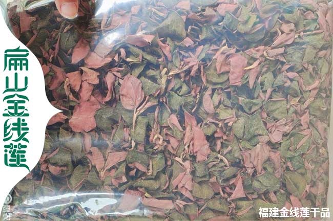 淮南金線蓮幹貨