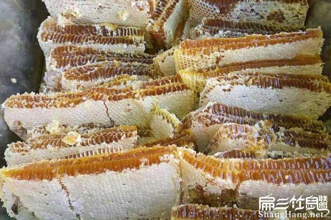 陝西蜜蜂養殖技術培訓 陝(shǎn)西蜜蜂養殖技術培訓