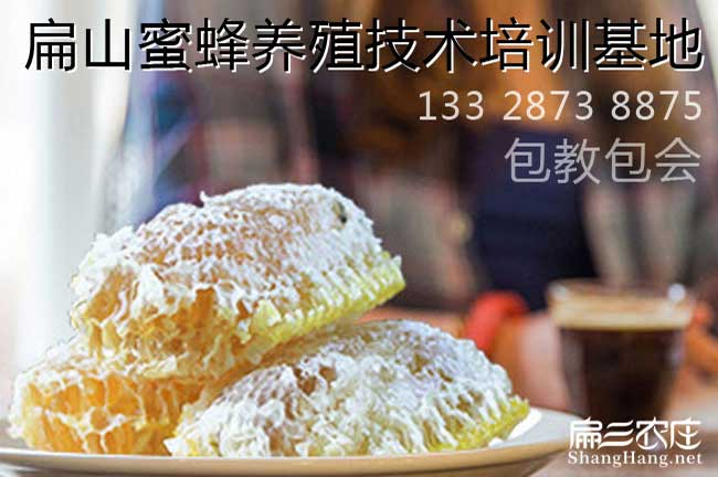 福建蜜蜂養殖（zhí）技術培訓