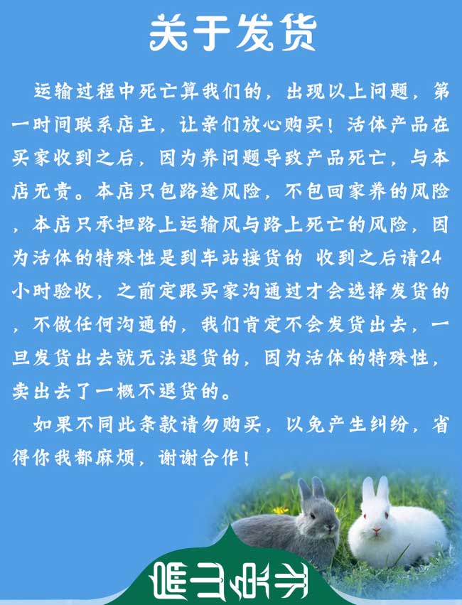關於竹鼠發貨
