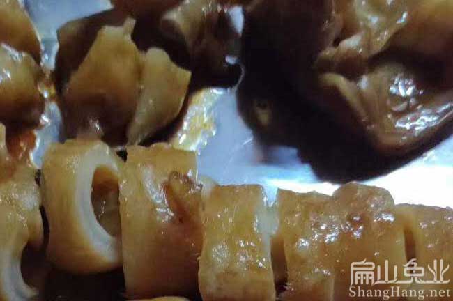福建兔肉批發