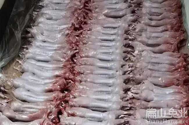 福建肉兔加工廠