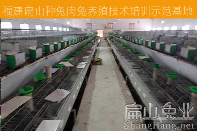 三明竹鼠養（yǎng）殖技術培訓基地