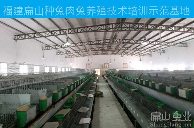 寧德種兔養殖技術培（péi）訓