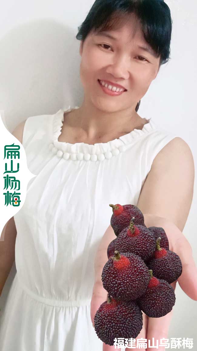 莆田黑高峰楊梅批發
