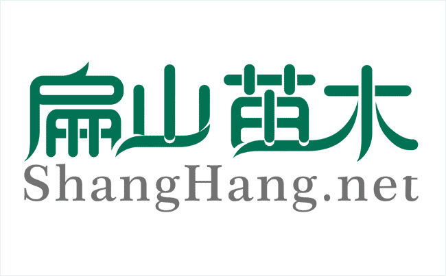 油茶苗（miáo）木品种