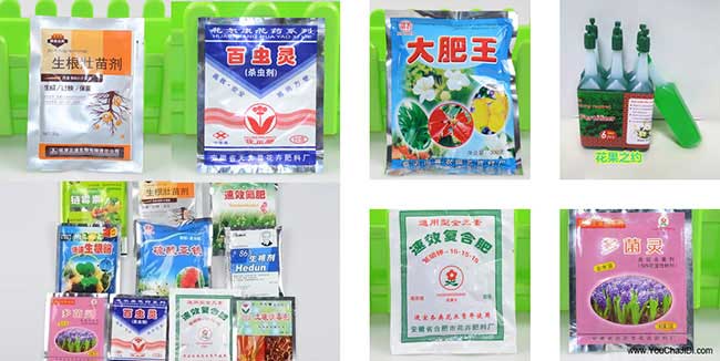 天門茶油(yóu)在國(guó)外(wài)受歡迎 天門茶油在國外(wài)受歡迎