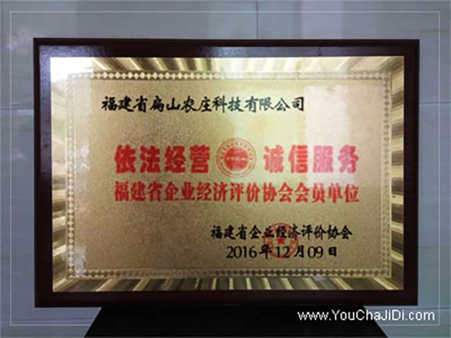 江門油茶種植(zhí)技術培訓 江(jiāng)門油茶種植技術培訓