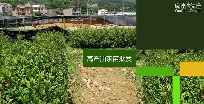 □ 銀塗(tú)鎮(zhèn)江(jiāng)西贛石贛 □ 銀塗鎮江西贛石贛