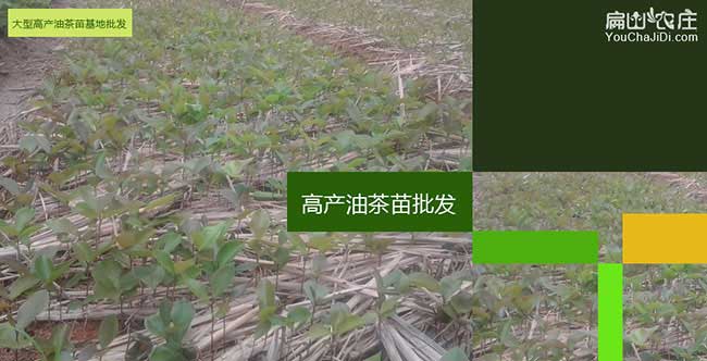 常熟市基地(dì)專業加工及 常熟市基地專(zhuān)業加工及