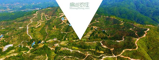 景洪市中西部北方南方 景洪市中西部(bù)北方南方