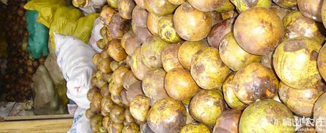 深圳油茶銷售銷(xiāo)量的品 深(shēn)圳油茶銷售銷量的品