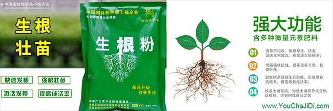 連(lián)州市低產林的改造技 連州市低產林的改造技(jì)