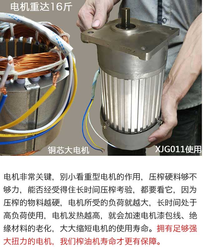 劉畈油茶種植重在大觀 劉畈油茶種植重在大觀
