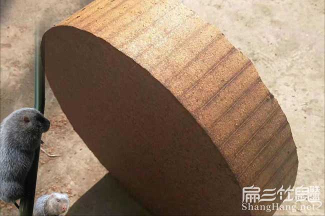 烏江低產林的改造技巧 烏江低產林的改造技巧
