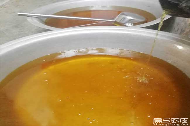 石城鎮茶樹苗栽植行(háng)珠 石城(chéng)鎮茶樹苗栽植行珠