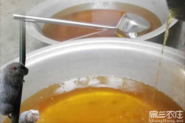 鳳慶縣茶樹苗的(de)物理特 鳳慶縣茶樹苗的物理(lǐ)特