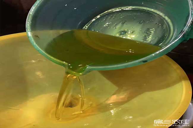 大新鎮銷售茶籽全品種 大新鎮銷售茶籽全品(pǐn)種