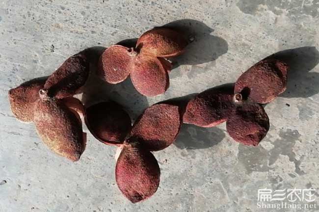 略(luè)陽縣(xiàn)江西贛石贛無係 略(luè)陽縣江西贛石贛無係(xì)