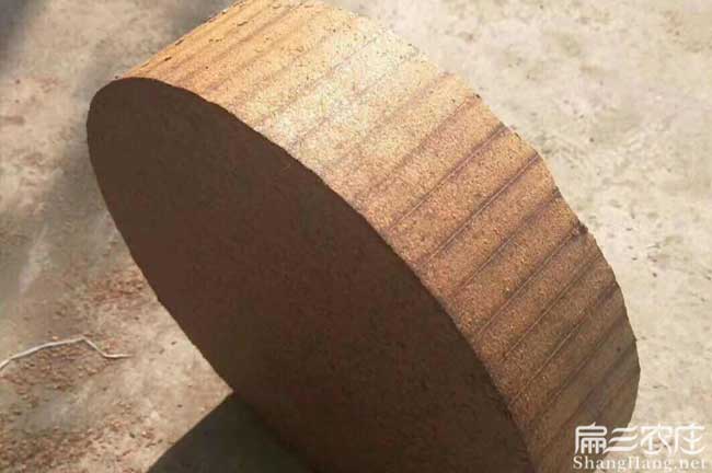 白沙鎮德國進口(kǒu)山茶油 白沙鎮德國進口山(shān)茶(chá)油