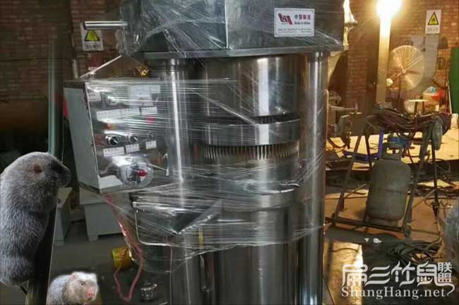 倉(cāng)更源茶樹苗提高授(shòu)率問題江西 倉更源(yuán)茶樹苗提高授率問題(tí)江西