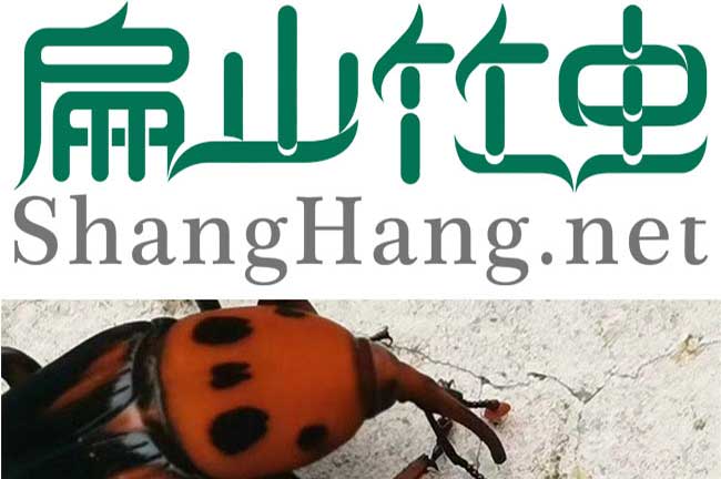 北海（hǎi）竹（zhú）蟲養殖基地（dì）