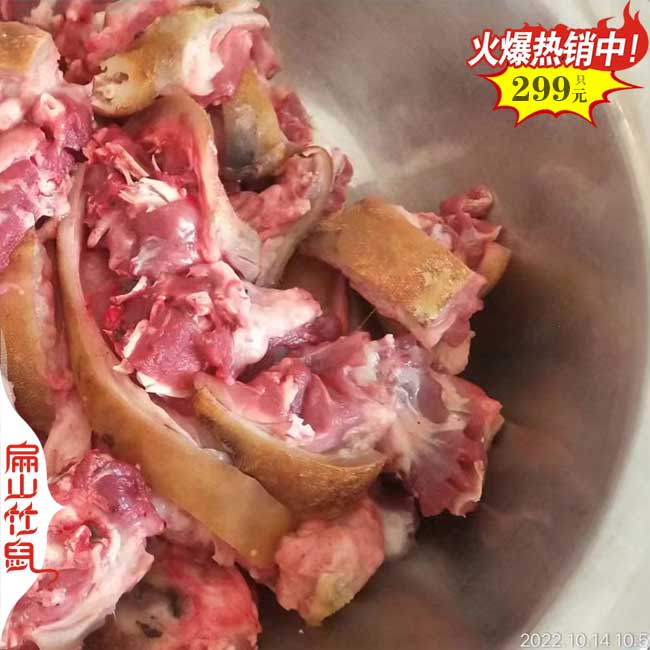 陝西竹鼠養殖 陝西竹(zhú)鼠(shǔ)養殖(zhí)