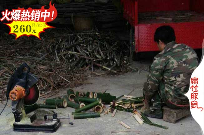 永州竹（zhú）鼠養（yǎng）殖基地 Hunan永州100對紅頰竹（zhú）鼠種（zhǒng）苗多少錢一隻