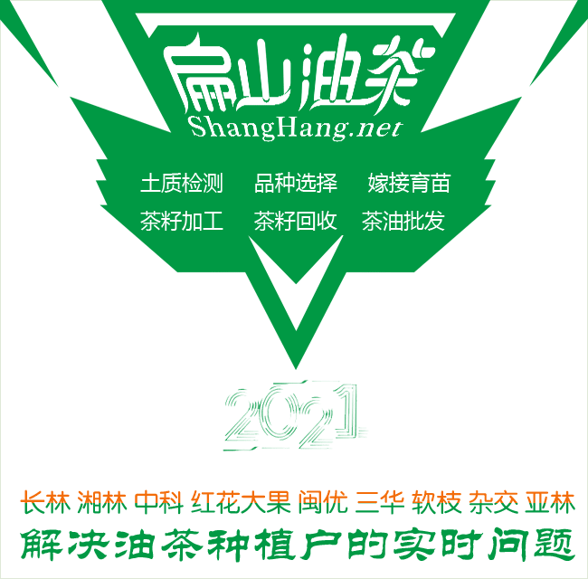 油（yóu）茶种植土质