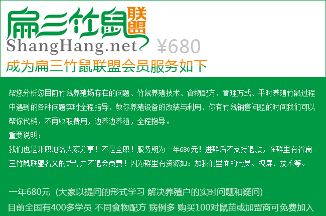重（chóng）慶養竹鼠微信群