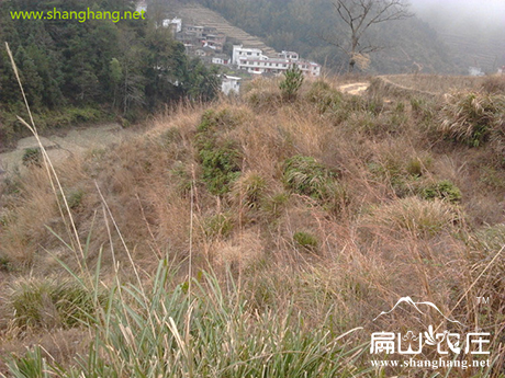 上杭縣農村地土 上杭縣農村地土(tǔ)