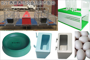 長汀養雞養豬設(shè)備