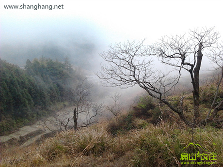 中國農村土(tǔ)地很多都(dōu)荒(huāng)廢(fèi)了,怎麽(me)解決(jué)? 中國農村土地很多都荒廢了,怎麽解決(jué)?