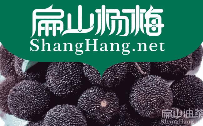 攸縣楊梅苗批發