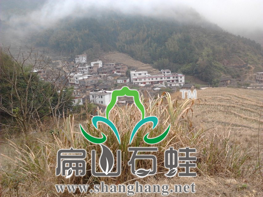 石蛙養殖(zhí)場地規劃最要注意的是什(shí)麽問題? 石蛙養(yǎng)殖場地規劃最要注意(yì)的是什麽問題?