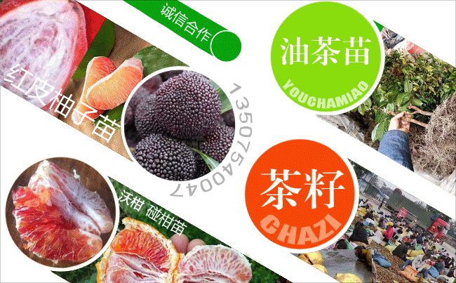 微信學員群