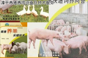 漳平養雞養豬設(shè)備